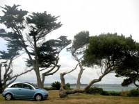 Citroen C3 Pluriel photo